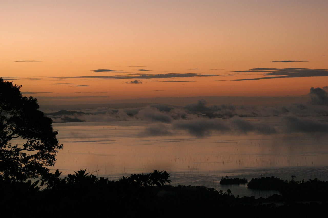 visiter-le-suriname-pays-méconnu